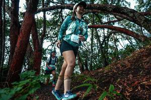 BIB: 
                            <button type="button" onclick="openModal(26346231)" class="btn btn-primary btn-sm float-right btn-popup" data-toggle="modal" data-target=".modal-high-quality">
                        <i class="fas fa-shopping-cart"></i> Add to Cart
                    </button>
                                            <button type="button" onclick="isThisMe(26346231, true)" class="btn btn-success btn-sm float-right btn-popup btn-isme hidden" data-toggle="tooltip" data-placement="bottom" title="นี่คือรูปของคุณใช่ไหม คลิกที่นี่เพื่อเอาเข้าอัลบั้ม">
                        <i class="fas fa-plus"></i> Add to album
                    </button>
                    <button type="button" onclick="isThisMe(26346231, false)" class="btn btn-warning btn-sm float-right btn-popup btn-isnotme hidden">
                        <i class="fas fa-ban"></i> Remove from album
                    </button>